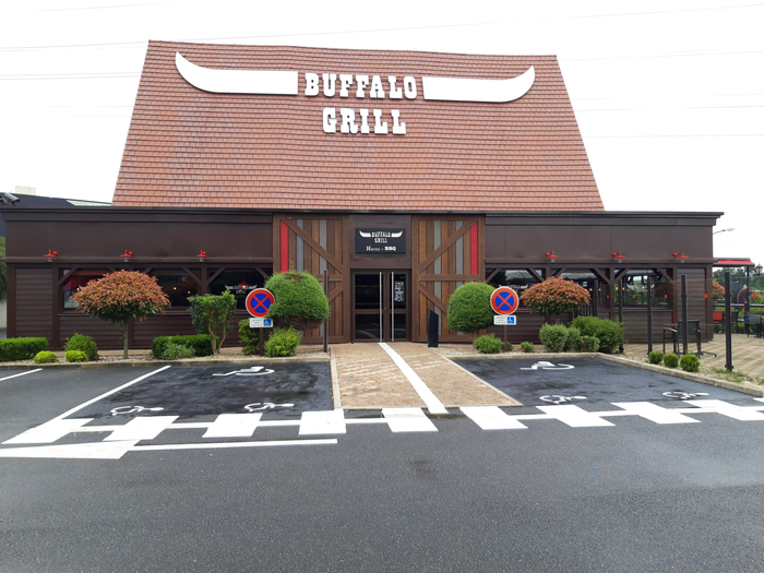 Buffalo-2